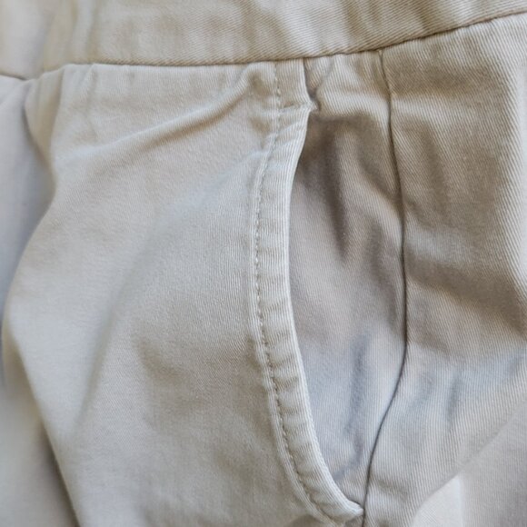 GAP Beige Ankle Pants - Picture 3 of 6